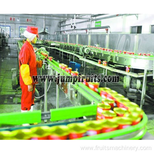 Automatic Cherry juice Processing Line